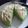Cooksnap dari Dea Novita untuk resep Bolu kukus pandan simpel