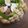 El cooksnap de Marieta cuando hizo Ensalada en cuenco de hojaldre.