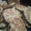 El cooksnap de patricia cuando hizo Galletas de avena (Fit o Fat depende de vos 🤣).