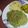 SHYAMALI MUKHERJEE's cooksnap of when they made মটরশুঁটি পরোটা (motorshunti porota recipe in Bengali).