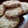 El cooksnap de Esme Amend cuando hizo Galletitas de coco y avena.
