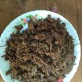Cooksnap dari gofinda candra untuk resep Krawu daging khas gresik