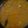 Asha Sharma's cooksnap of when they made Gujarati khatti Meethi Tuar Dal.