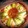 El cooksnap de isabel maloum cuando hizo Cuscús con carne de ternera y verduras.