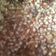 Cooksnap Adila semasa beliau membuat Syurbah (Sup Gandum Daging).