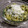 El cooksnap de Paola Lozano Zafra cuando hizo Pasta con espinacas y setas.