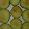 Cooksnap dari Dapoer JK untuk resep Donat Pandan