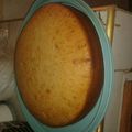 El cooksnap de Feby's cuando hizo Deliciosa torta sin Harina, ni Mantequilla.