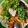 Cooksnap dari e.yuningsih untuk resep Salad sayur with balsamic dressing (sehat dan lezat)