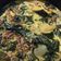 Cooksnap dari MamSha untuk resep Gulai Daun Singkong