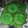 Cooksnap dari Elena untuk resep Kue Cucur awet empuk