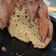 Cooksnap dari Anita K. Kortman untuk resep Cake Meses - all in one