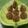 Kshama's Kitchen's cooksnap of when they made Dry fruit Dates Modak.