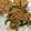 Cooksnap dari rimaulin untuk resep Nasi Punten Pecel Tulungagung