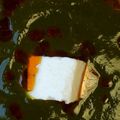 Vinita Jain's cooksnap of when they made Palak paneer.