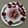 Monica's Cookhouse's cooksnap of when they made Beetroot Raita.