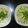 El cooksnap de Lidia Tsukishiro cuando hizo Aguachiles verdes (camarón) estilo mazatlan Sinaloa.