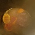 thomas motley's cooksnap of when they made Authentic Mexican Carnitas.