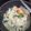 Cooksnap dari Dapoer Bunda untuk resep Mie Tektek Shirataki DEBM