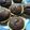 Cooksnap dari neni untuk resep Pie brownies enak bikin nagih