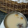 Cooksnap dari Sailirrahma Mudzakir untuk resep Chai Latte ala India