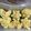 Cooksnap dari Wulan Handayani untuk resep Nasi kuning magicom