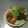Cooksnap dari Dika Agus 098 untuk resep Nasi uduk hijau(pandan) magic come