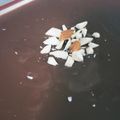 El cooksnap de Francisca Javiera Campos Rodriguez cuando hizo Pudín de chocolate casero.