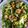 Patricia Williams's cooksnap of when they made Shrimp avocado salad.