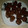 El cooksnap de Brenda Melina Plata Alcazar cuando hizo Bombones de chocolate!.