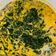 Cooksnap dari waves islands untuk resep Gulai Daun Ubi Ikan Sale