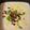 tracymerten's cooksnap of when they made Cheesy Potato Crockpot Soup.