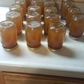 Sherry Stein's cooksnap of when they made Tinklee's Apple Pie Moonshine.