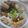 Cooksnap của Quang Hoan Le khi họ làm theo món Bánh canh hải sản miền Trung