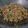 Cooksnap dari Chatrine Yosephine untuk resep Mie Gomak Goreng (Mie Lidi Goreng)