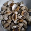 Cooksnap dari Tanti Prasetyo untuk resep Kerang dara rebus