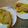 Reshmi Deb's cooksnap of when they made পাবদা সর্ষে (pabda sorse recipe in Bengali).