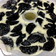 Cooksnap dari Nila Aviana untuk resep Puding susu oreo
