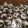 Cooksnap dari Nela Hafrin untuk resep Puding coklat toping vla oreo cheese