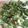 dana114's cooksnap of when they made Kale Chips.