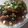 Cooksnap dari Vida Zulafa Atiani untuk resep Beef Teriyaki Simple