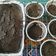 Cooksnap dari Zion Ruth Magdalena untuk resep Sweet Brownies with cheese