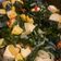 Cooksnap dari Lina Agustina untuk resep Tumis daun singkong teri medan