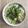 Cooksnap của Joyce Ch khi họ làm theo món Canh bầu nấu với mọc