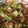 Cooksnap dari Bikinan Jari untuk resep Tumis Nugget Ala Qila_Kitchen