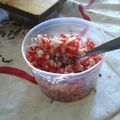 El cooksnap de Luis LeCroix cuando hizo Salsa criolla.