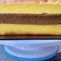 Cooksnap dari Angeline Hosen untuk resep Lapis Surabaya Special