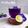 Cooksnap dari Dapur Amalia Rizki untuk resep Teh Telang Nipis