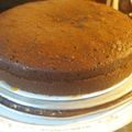 El cooksnap de María Laura cuando hizo Torta de chocolate y dulce de leche.
