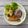 รูป Cooksnap ของ Numwhan Supitchaya เมื่อเขาทำ แซลมอนย่างเกลือกับผัดผัก